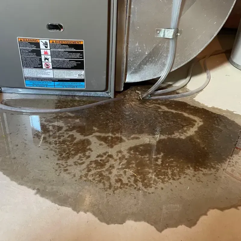 Appliance Leak Cleanup in Craig Beach, OH